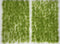 SEM - TU6WS-N - 6mm Wild Spring - Natural Layout - Self-Adhesive Grass Tufts