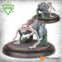 Carnevale - TTCGX-RSH-010 - Matriarch's Brood